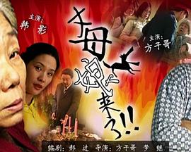 小羊摄影